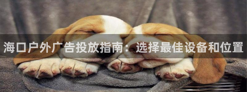 杏宇平台官网注册