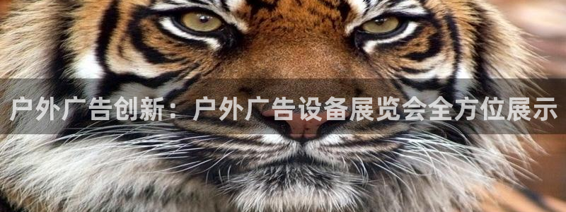 杏宇平台总代理
