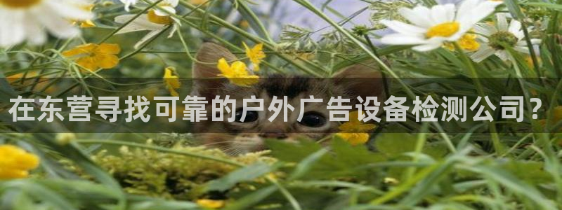 杏宇平台总代理是谁：在东营寻找可靠的户外广告设备检测公司？