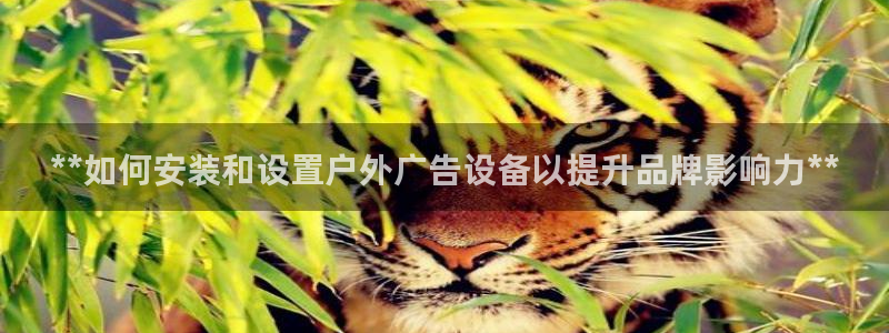 杏宇平台代理怎么样啊：**如何安装和设置户外广告设备以提升品牌影响力**