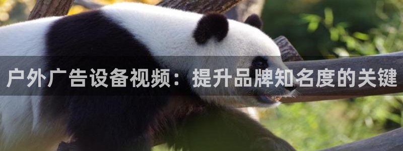 杏宇平台好吗