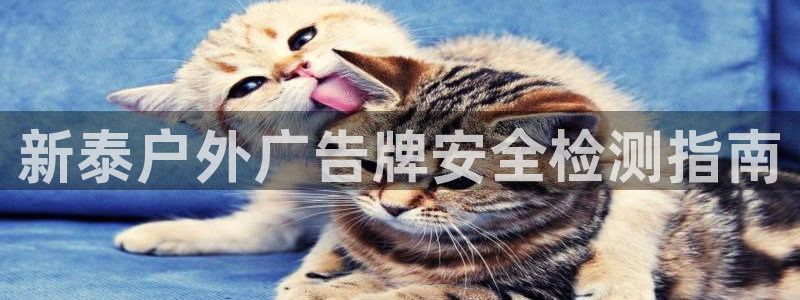 杏宇平台登录步骤图