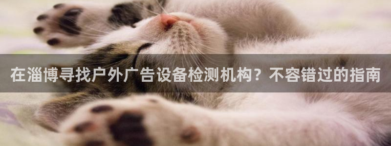 杏宇平台招商电话号码