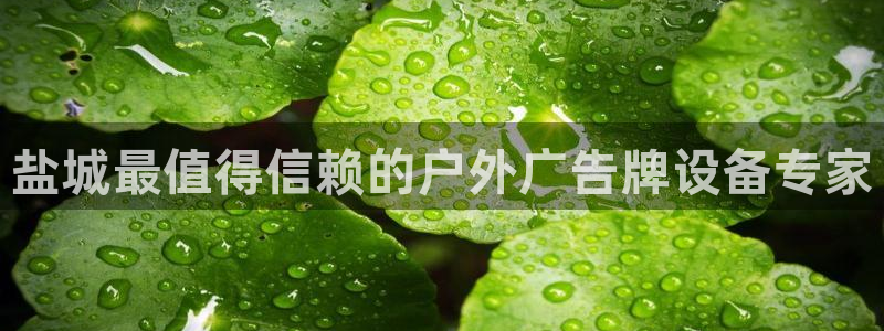 杏宇平台代理多少钱一个