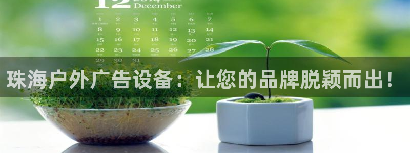 杏宇平台代理多少钱一个月