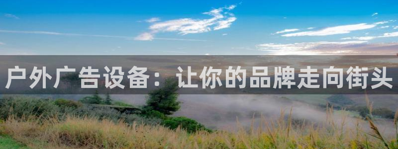 杏宇平台是什么