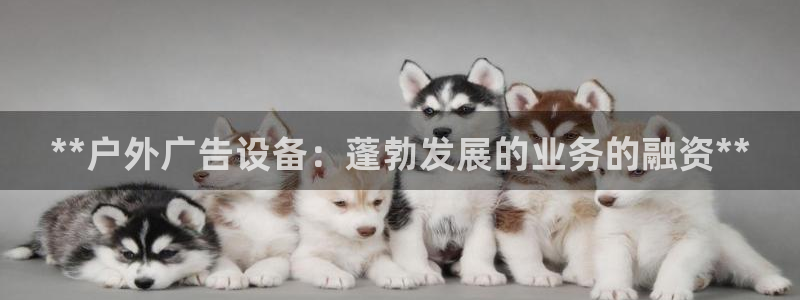 杏宇平台登录方法：**户外广告设备：蓬勃发展的业务的融资**