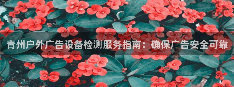 杏宇官方平台官网下载：青州户外广告设备检测服务指南：确保广告安全可靠