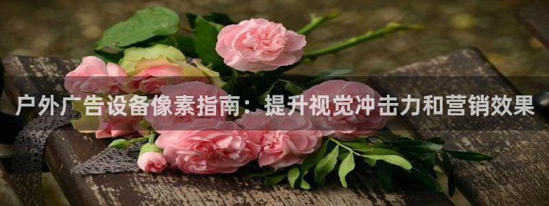 杏宇官方平台官网下载