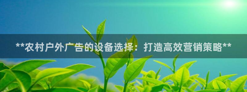 杏宇平台总代理电话：**农村户外广告的设备选择：打造高效营销策略**