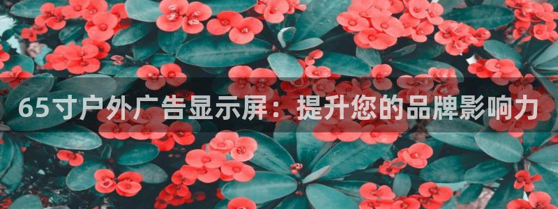 杏宇平台登录步骤图：65寸户外广告显示屏：提升您的品牌影响力