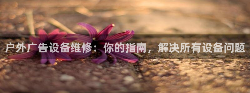 杏宇平台代理多少钱一个
