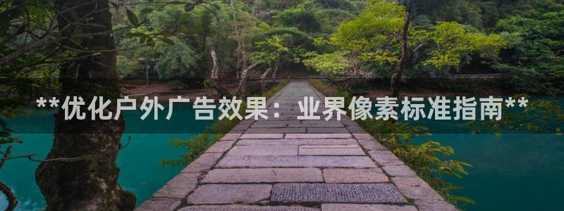 杏宇平台代理怎么赚钱：**优化户外广告效果：业界像素标准指南**