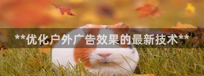 杏宇平台代理怎么赚钱：**优化户外广告效果的最新技术**