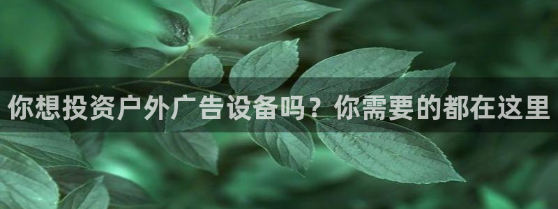 杏宇平台总代理电话