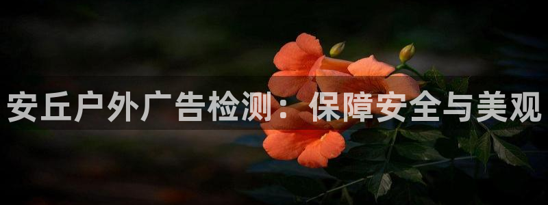 杏宇平台主管