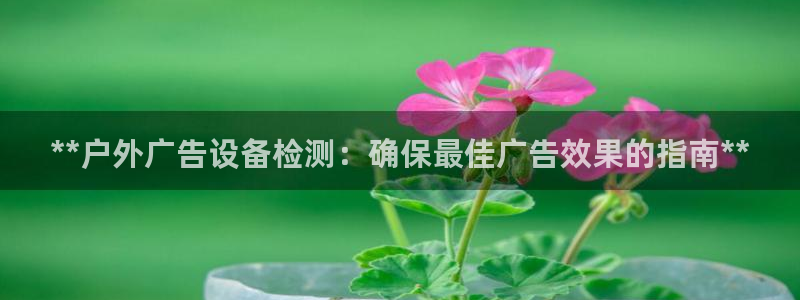 杏宇平台登陆：**户外广告设备检测：确保最佳广告效果的指南**