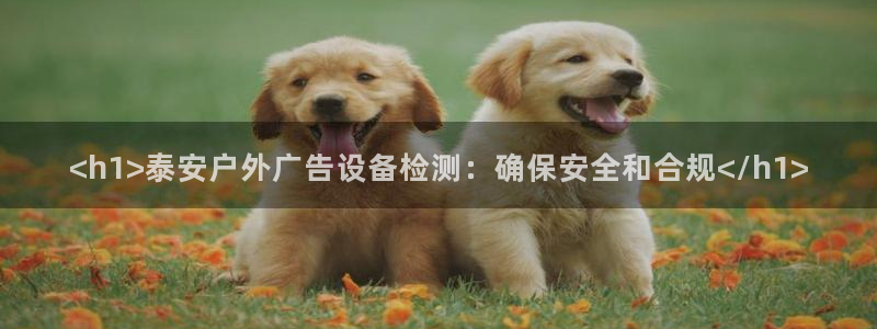 杏宇官方平台官网入口：<h1>泰安户外广告设备检测：确保安全和合规</h1>