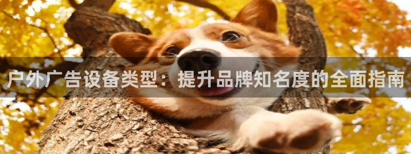 杏宇平台招商电话号码：户外广告设备类型：提升品牌知名度的全面指南