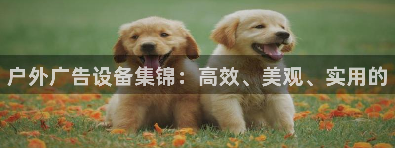 杏宇平台代理怎么样啊：户外广告设备集锦：高效、美观、实用的