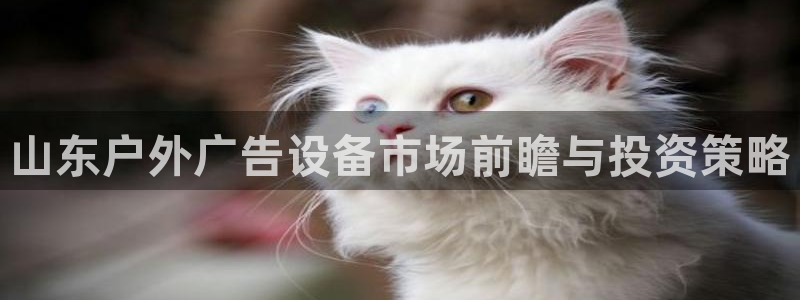 杏宇平台总代理：山东户外广告设备市场前瞻与投资策略