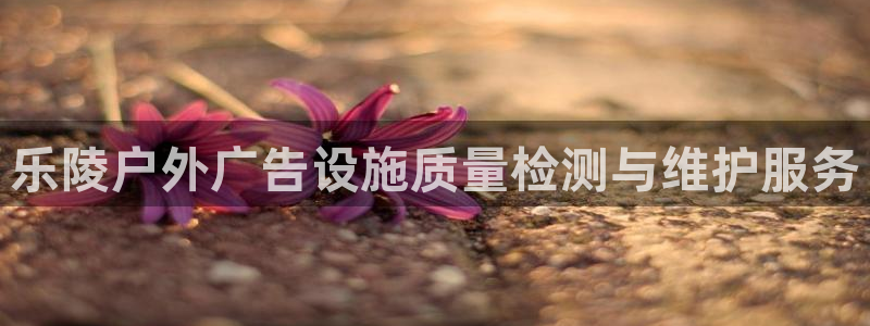 杏宇平台代理多少钱：乐陵户外广告设施质量检测与维护服务