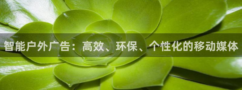 杏宇平台代理怎么样赚钱