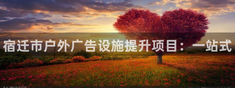 杏宇平台是什么：宿迁市户外广告设施提升项目：一站式