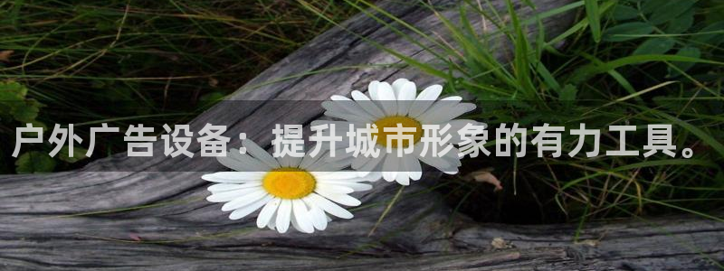 杏宇平台总代理电话