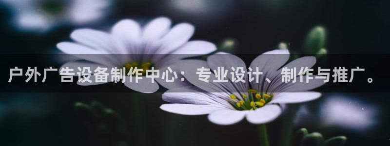 杏宇平台测速链接：户外广告设备制作中心：专业设计、制作与推广。