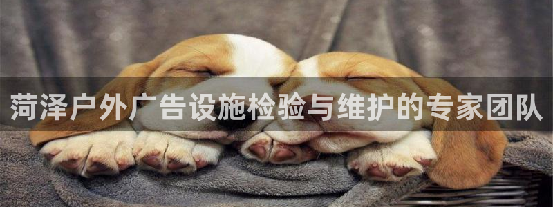 杏宇平台招商：菏泽户外广告设施检验与维护的专家团队