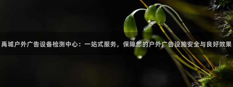 杏宇平台代理怎么赚钱：禹城户外广告设备检测中心：一站式服务，保障您的户外广告设施安全与良好效果