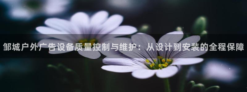 杏宇代理注册：邹城户外广告设备质量控制与维护：从设计到安装的全程保障