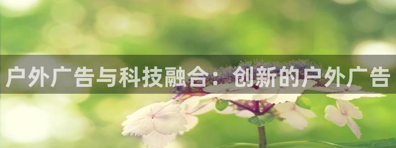 杏宇平台招商电话号码