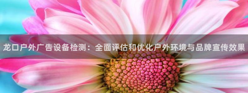 杏宇平台测速链接