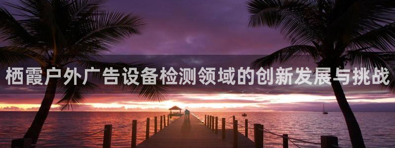 杏宇代理注册：栖霞户外广告设备检测领域的创新发展与挑战