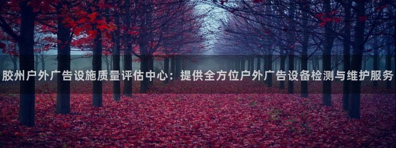 杏宇平台登录步骤图：胶州户外广告设施质量评估中心：提供全方位户外广告设备检测与维护服务