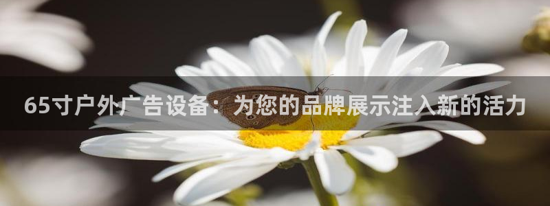 杏宇平台怎么样：65寸户外广告设备：为您