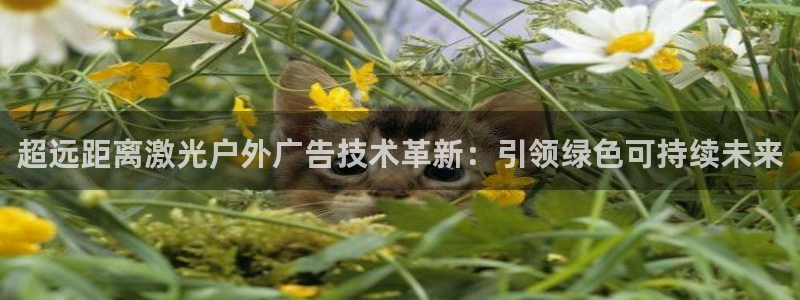 杏宇平台登录步骤图：超远距离激光户外广告