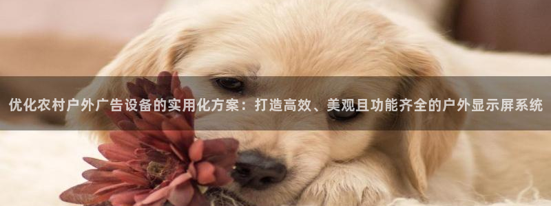 杏宇平台代理多少钱一个月：优化农村户外广告设备的实用化方案：打造高效、美观且功能齐全的户外显示屏系统