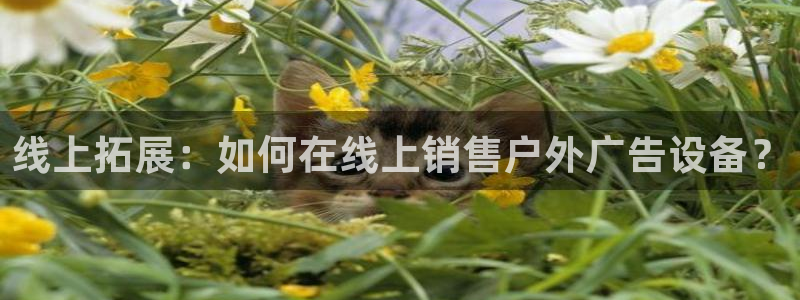 杏宇平台登录步骤：线上拓展：如何在线上销售户外广告设备？