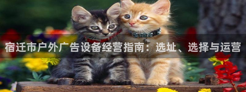 杏宇平台代理多少钱