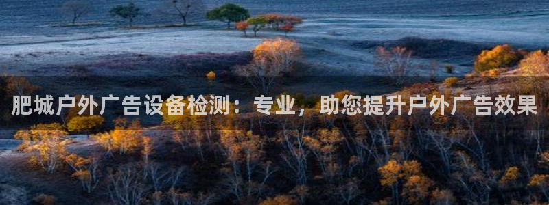 杏宇平台代理怎么样可靠吗
