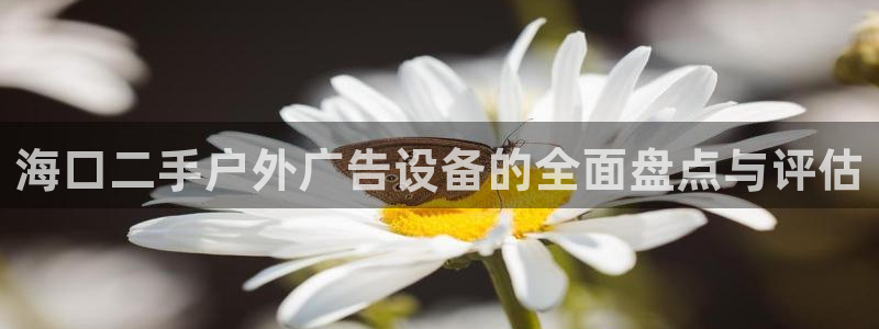杏宇平台代理多少钱一个月：海口二手户外广告设备的全面盘点与评估