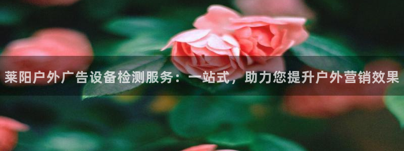 杏宇平台好吗：莱阳户外广告设备检测服务：