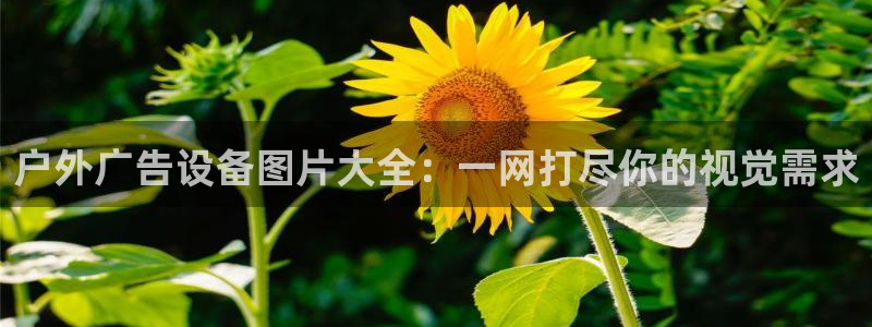 杏宇平台登录步骤：户外广告设备图片大全：一网打尽你的视觉需求