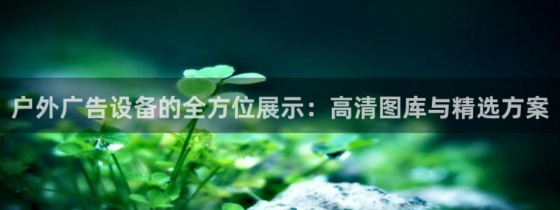 杏宇平台代理多少钱一个：户外广告设备的全方位展示：高清图库与精选方案