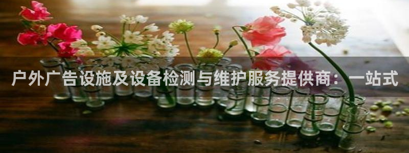 杏宇平台注册地址：户外广告设施及设备检测与维护服务提供商：一站式