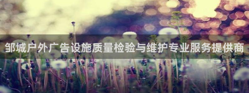 杏宇代理注册：邹城户外广告设施质量检验与