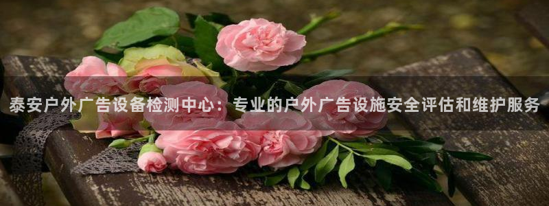 杏宇平台登录步骤是什么：泰安户外广告设备检测中心：专业的户外广告设施安全评估和维护服务